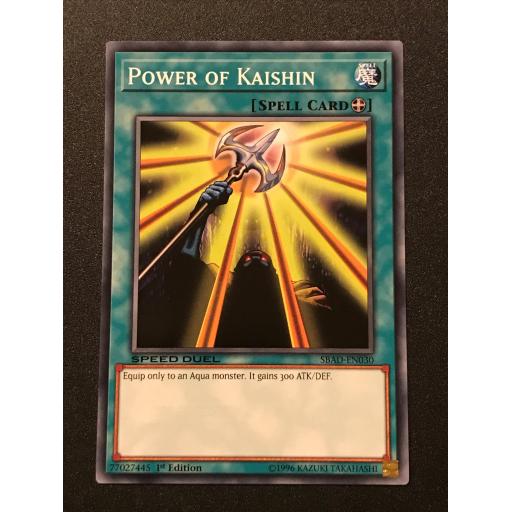 Power of Kaishin SBAD-EN030