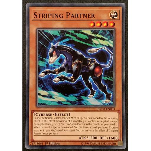 Striping Partner | EXFO-EN003 | 1st Edition | Common