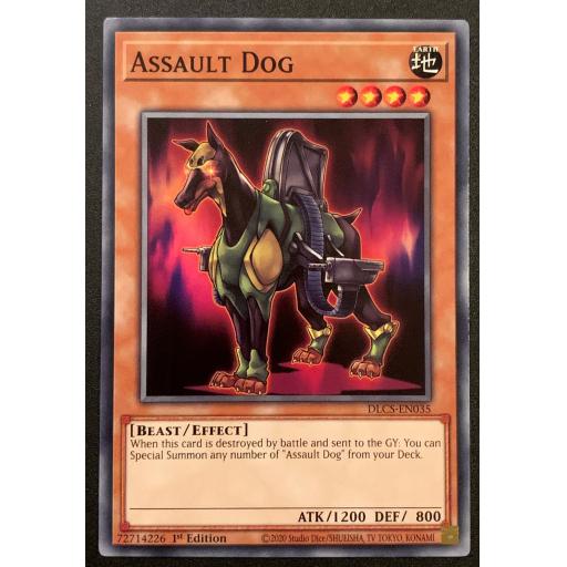 Assault Dog | DLCS-EN035 | 1st Edition | Common