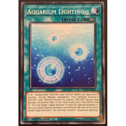 Aquarium Lighting | DLCS-EN095 | 1st Edition | Common