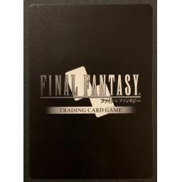 Final Fantasy Back.jpg