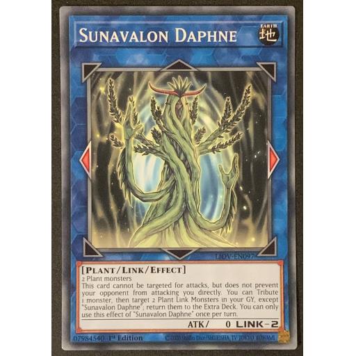 Sunavalon Daphne | LIOV-EN097 | Common