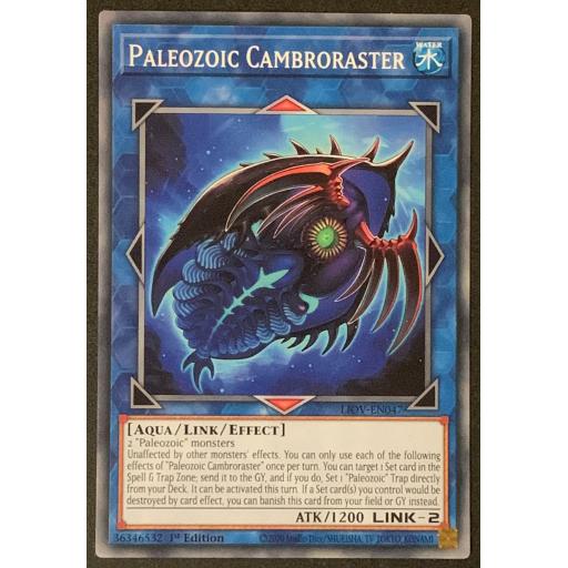 Paleoxoic Cambroraster | LIOV-EN047 | Common