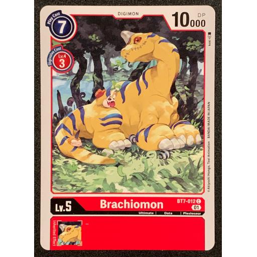 Brachiomon | BT7-012 C