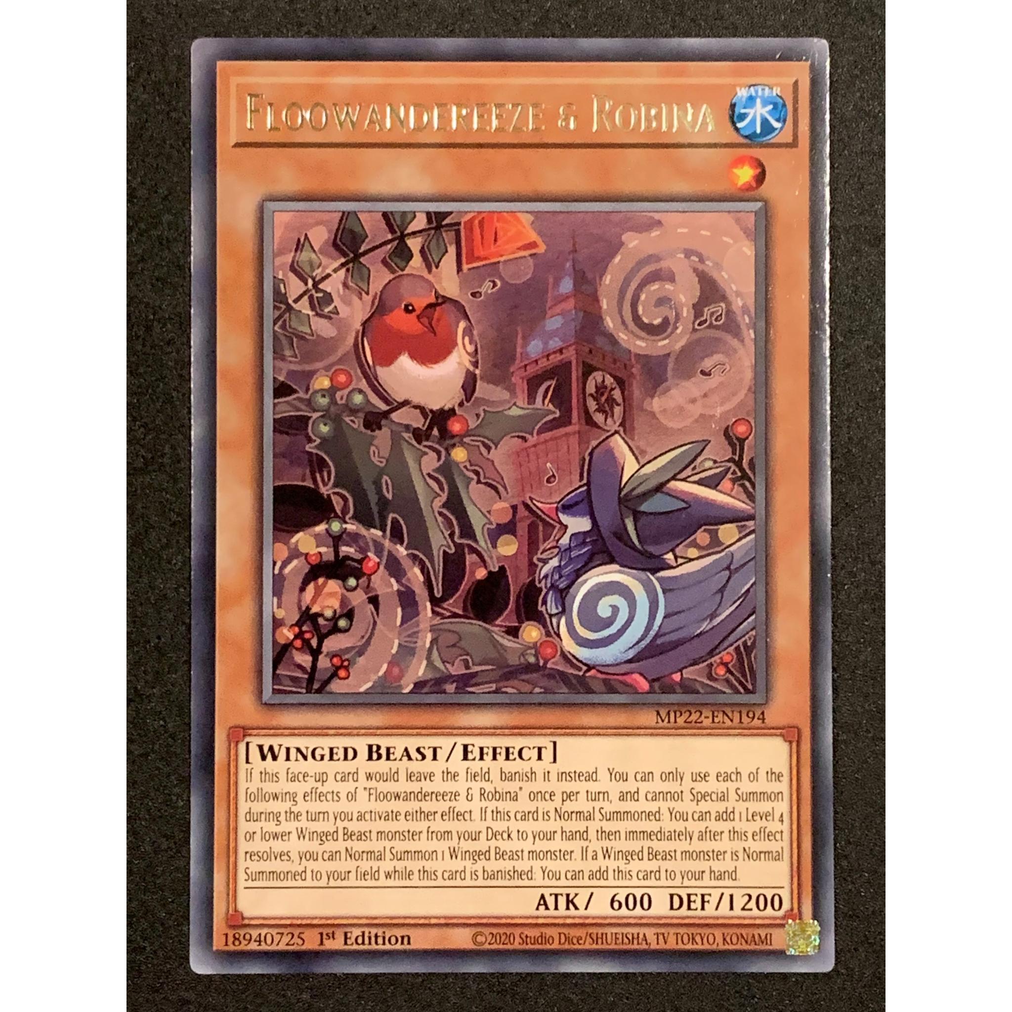 Floowandereeze & Robina MP22EN194 Rare 1st Edition