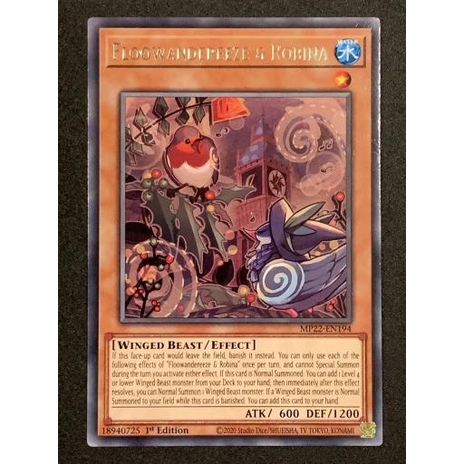 Floowandereeze & Robina MP22EN194 Rare 1st Edition
