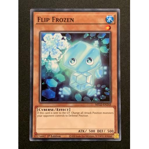 Flip Frozen | MP22-EN243 | Common | 1st Edition