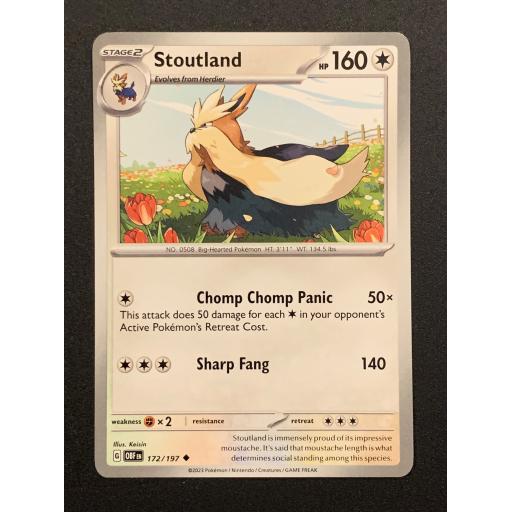 Stoutland | 172/197 | Uncommon