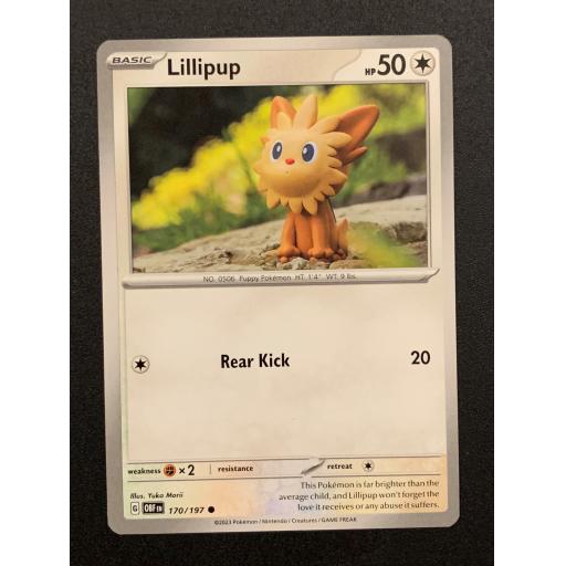 Lillipup | 170/197 | Common