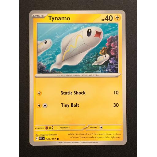 Tynamo | 067/197 | Common