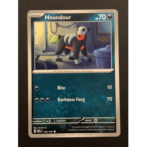Houndour | 132/197 | Common
