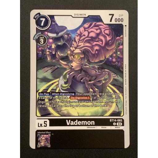 Vademo | BT14-065 | Common