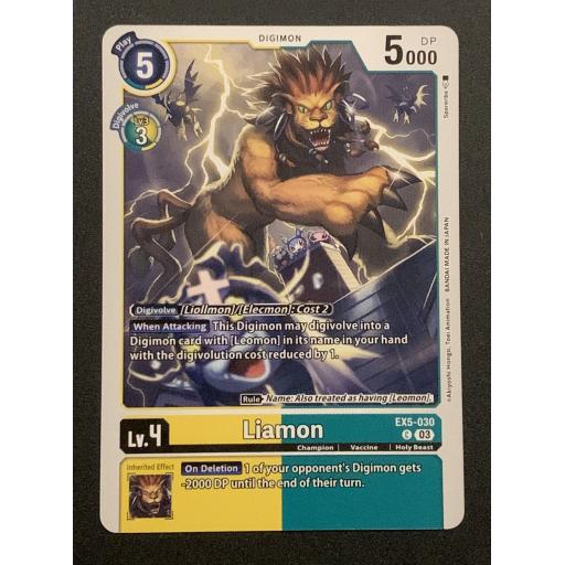 Liamon | EX5-030 C