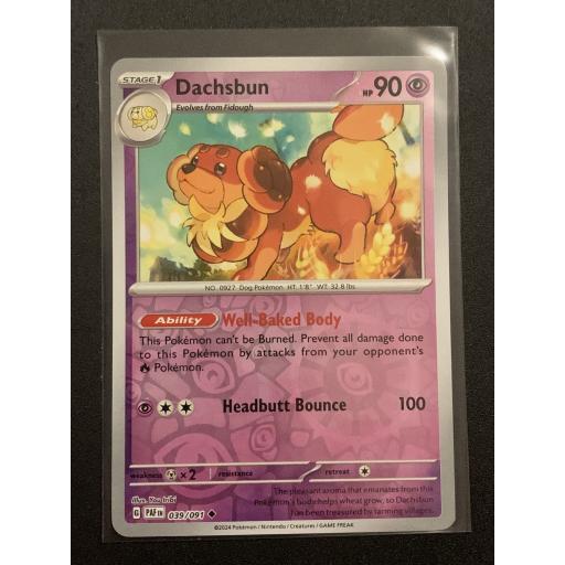 Dachsbun | 039/091 | Reverse Holo Uncommon