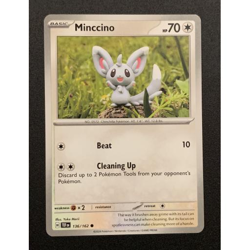 Minccino | 136/162 | Common