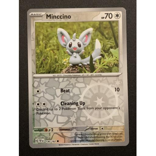 Minccino | 136/162 | Reverse Holo