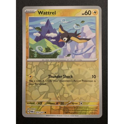 Wattrel | 075/167 | Reverse Holo