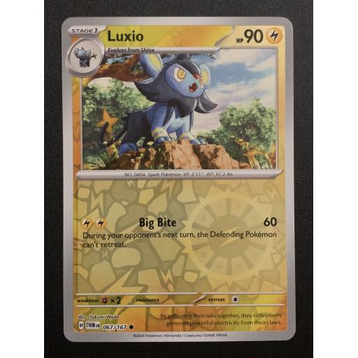 Luxio | 067/167 | Reverse Holo