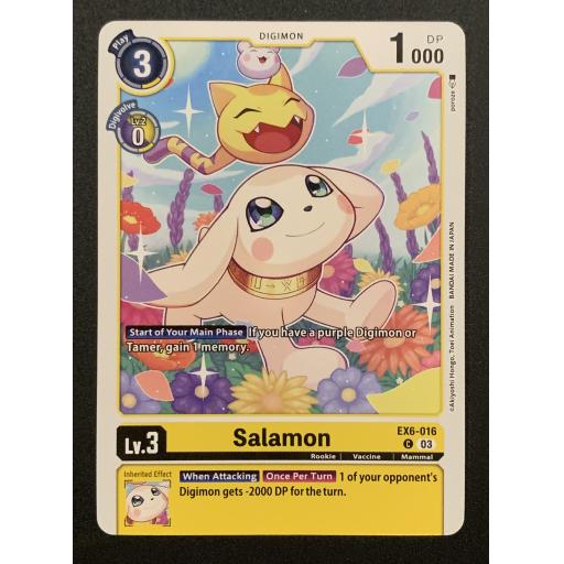 Salamon | EX6-016 C