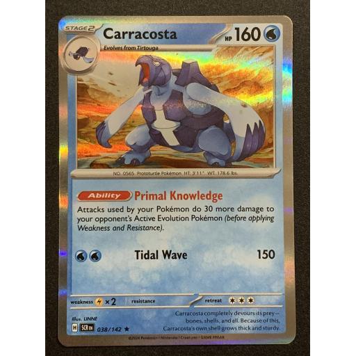 Carracosta | 038/142 | Holo Rare