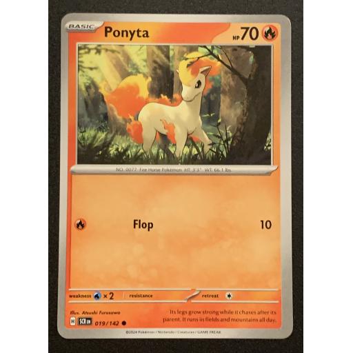 Ponyta | 019/142 | Common