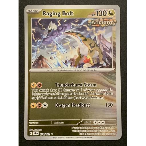 Raging Bolt | 111/142 | Reverse Holo